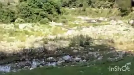 नेरवा: नगर पंचायत नेरवा द्वारा बनाई गई कूड़ा डंपिंग साइड को, लोगों ने बंद करने की उठाई मांग#jansamasya