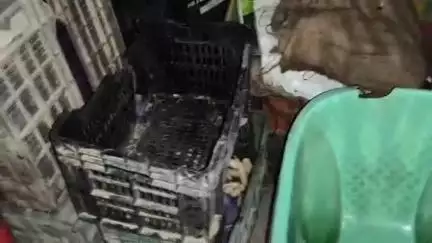 सीतापुर: कैंची पुल के पास नगर पालिका के शौचालय को सब्जियों का गोदाम बना दिया गया, वीडियो हुआ वायरल