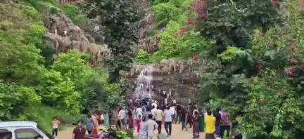 ભિલોડા: ભિલોડા ના સુનસર ધોધ શરૂ થતા આસપાસના વિસ્તારોના સહેલાણીઓ ઉમટ્યા.
