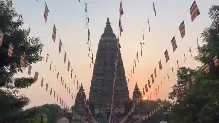 बोध गया: बोधि वृक्ष की स्वास्थ्य जांच पर अब हर साल खर्च होंगे ₹16 लाख, देश विदेश से इस VIP पेड़ को देखने आते हैं पर्यटक