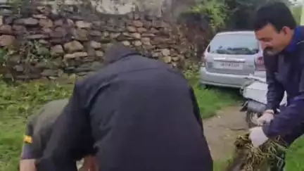 लोहाघाट: नगर पालिका लोहाघाट ने उपजिला अस्पताल में स्वच्छता अभियान का सफलतापूर्वक संचालन किया