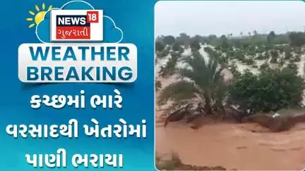 Kutch Rain Update News : કચ્છમાં ભારે વરસાદથી ખેતરોમાં પાણી ભરાયા | Monsoon 2025 | Gujarati Samachar