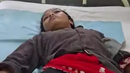बैतूल: वन विभाग की सपना नर्सरी में काम करते वक्त जहरीले सांप ने काटा, अस्पताल में भर्ती