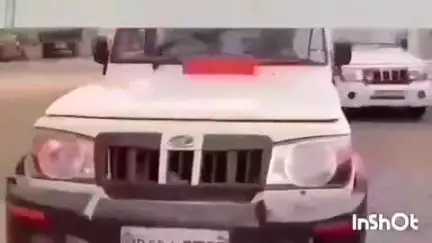 बमोरी: भूरा खेड़ी गांव में 15 वर्षीय बच्चे को पालतू कुत्ते ने काटा, मालिक पर मामला दर्ज
