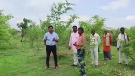 कोरांव: बसहरा में बीडीओ मनोज कुमार सिंह ने मियां वाकी पद्धति से पौधरोपण कार्य का किया निरीक्षण, जिम्मेदारों को दिए दिशा-निर्देश