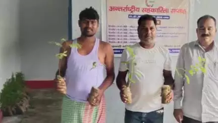 बलियापुर: पलानी एवं रघुनाथपुर पैक्स द्वारा पौधरोपण कार्यक्रम आयोजित