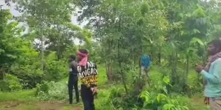 चिनिया: चिनियां में दिनदहाड़े जंगली हाथी का आतंक, वन विभाग ने जारी किया अलर्ट, गांवों में दहशत