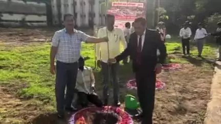 हमीरपुर: न्यायालय आवासीय परिसर में किया गया पेड़ रोपण