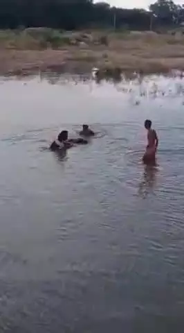 खैरा: खैरा थाना क्षेत्र के सगदाहा गांव के एक युवा की मौत कियूल नदी के सगदाहा घाट पर गहरे पानी में डूबने से हुई