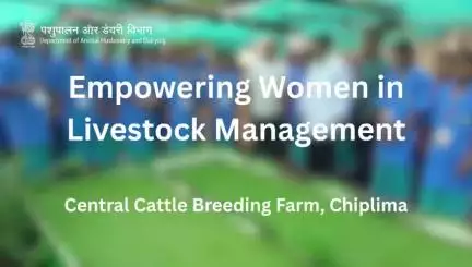 Empowering Women in Livestock Management

23 women A-HELP participants from Kalahandi District, Odisha, visited Central Cattle Breeding Farm, Chiplima, for a one-day training cum exposure visit program.
