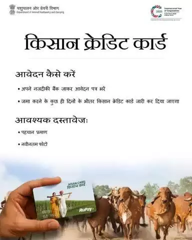 KCC पाना अब हुआ आसान!
बस नजदीकी बैंक जाएं, आवेदन फॉर्म भरें और ज़रूरी दस्तावेज़ जमा करें।
📅 कुछ ही दिनों में कार्ड आपके पास!
🔐 पहचान पत्र और फोटो साथ ले जाएं