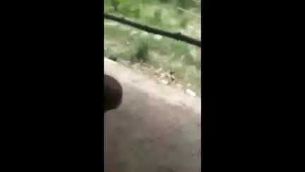 सगड़ी: रौनापार क्षेत्र में मारपीट का वीडियो सोशल मीडिया पर वायरल होने के मामले में मुकदमा दर्ज, एसपी ग्रामीण ने दी जानकारी