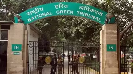 भीलवाड़ा: एनजीटी ने भीलवाड़ा के जाजू की याचिका पर राष्ट्रीय राजमार्गों पर काटे गए पेड़ों के बदले पौधे लगाने के दिए निर्देश