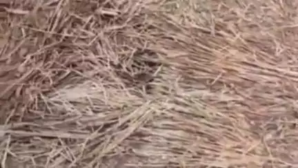 बागली: नवल गांव से बिजलगांव मार्ग की हालत खस्ता, ग्रामीणों ने उठाए सवाल