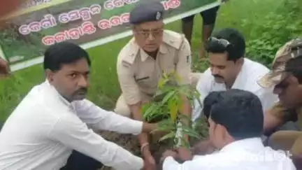 ଜୁନାଗଡ: ଆଜି କେଗାଁ ବନ ବିଭାଗ ତରଫରୁ 76ତମ ବନ ମହୋତ୍ସବ ପାଳିତ