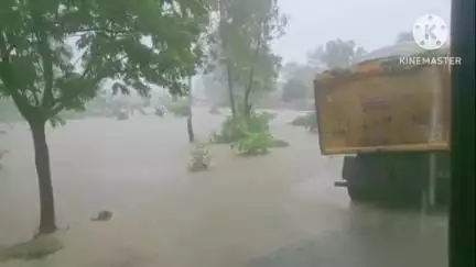 बलौदाबाज़ार: जिले में अब तक 259 मिमी औसत वर्षा दर्ज, भू अभिलेख कार्यालय ने दी जानकारी