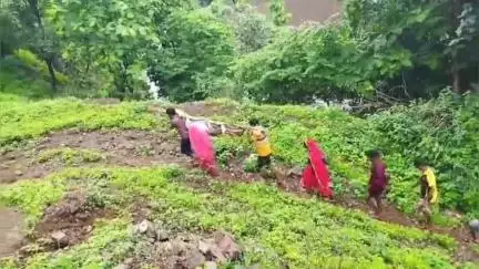 शहादा: बुरीनमाळपाडा गावातील गर्भवती महिलेला आरोग्य केंद्रात घेऊन जाण्यासाठी रस्ता अभावी बांबूच्या झोळीचा सहारा