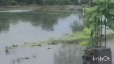 ब्रह्मपूरी: शेतातील पाणी काढण्याचा मार्ग बंद केल्याने गौरव पेपर मिलविरोधात हरदोली येथील शेतकऱ्यांचे आंदोलन #jansamasya