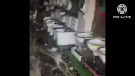 संगरिया: कोर्ट रोड स्थित एक बिजली और सेनेटरी सामान की दुकान में शॉर्ट सर्किट से लगी आग, मौके पर पहुंची दमकल