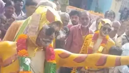 పత్తికొండ: పట్టణంలో ప్రజలను ఆకట్టుకున్న పులి వేషధారణలు, నేటితో ముగిసిన మెుహర్రం వేడుకలు