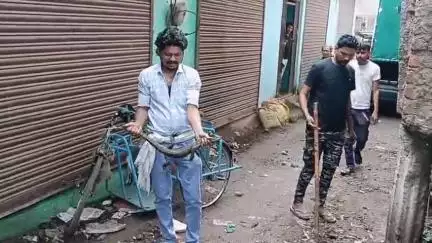 तेंदूखेड़ा: बारिश से रिहायशी क्षेत्र में जहरीले जीव-जंतु, सर्प मित्र ने किया रेस्क्यू