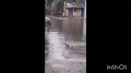 इटारसी: इटारसी क्षेत्र में 24 घंटे में 18.2 मिमी बारिश दर्ज, इलाका जलमग्न, नगर पालिका अध्यक्ष ने किया निरीक्षण