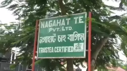 সোণাৰি: নগাহাট চাহ বাগিচাত সংঘটিত হ'ল ভয়ংকৰ অঘটন CTC মণৰল মেচিনত সোমাল শিশু শ্ৰমিকৰ হাত, শ্ৰম আইন উলংঘা কৰা অভিযোগ