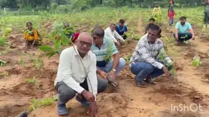 વિસનગર: કામલપુર (ગોઠવા) ગામે અનોખી પહેલ