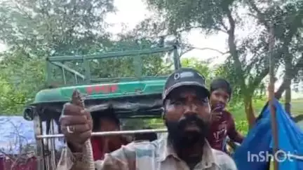 मैहर: मैहर के महाराजपुर में जहरीला सांप घर में घुसा, सर्प मित्र गफ्फूर भाई ने पकड़कर जंगल में छोड़ा