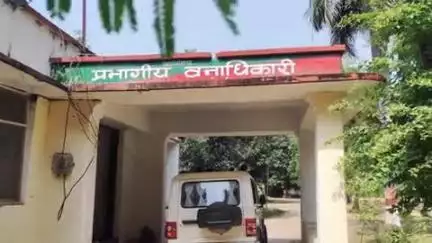 गोंडा: गौसिहा में बंदर के आतंक से लोग परेशान, एक माह में एक दर्जन से अधिक लोगों को काटा