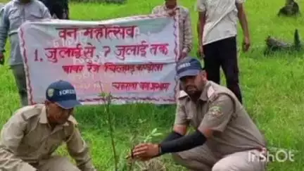 चकराता: वन विभाग ने दारमीगाड़ बीट में पौधे रोपे