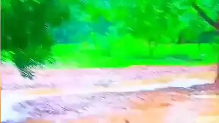 लांजी: भारी वर्षा के कारण कलेक्टर ने लांजी में स्कूलों के लिए 8 जुलाई को अवकाश घोषित किया