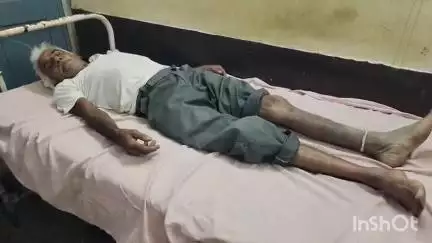माण्डल: अमरगढ़ में घर के बाहर बैठे बुजुर्ग को सांप ने काटा, हालत बिगड़ी
