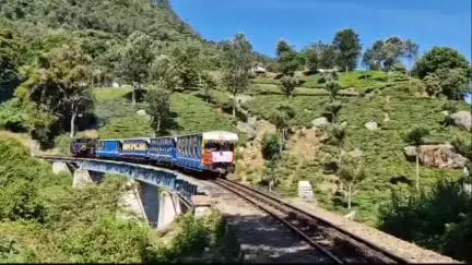 உதகமண்டலம்: மேட்டுப்பாளையம் - உதகை இடையே ஜூலை 11 முதல் ஆகஸ்ட் 08 வரை வெள்ளி, ஞாயிற்று கிழமைகளில் சிறப்பு மலை ரயில்