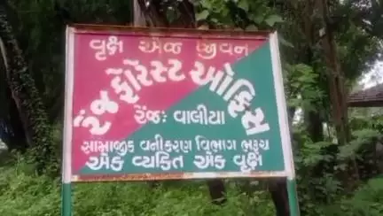 વાલિયા: વાલિયા ગામની સીમમાં ફરી દીપડો દેખાતા ખેડૂતો ભયભીત બન્યા છે