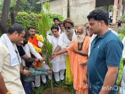 महवा: शिशवाड़ा में विधायक राजेंद्र मीणा की मौजूदगी में लगाए गए 300 पौधे, सुरक्षा का दिलाया गया संकल्प
