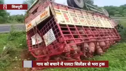 शिवपुरी जिले में गाय को बचाने में सिलेंडर से भरा ट्रक पलटा, ड्राइवर को आई मामूली चोटें