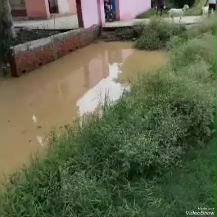 दिनारा: हरिवंशपुर गांव में पानी से भरे गढ़े में डूबने से 7 वर्षीय बालक की हुई मौत