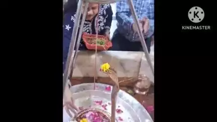 करछना: नैनी के अरैल घाट स्थित सोमेश्वर महादेव मंदिर में श्रावण मास की तैयारियां पूरी, श्रद्धालुओं के लिए की गई विशेष व्यवस्था