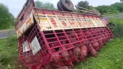 कोलारस: देहरदा के पास गाय को बचाने में गैस सिलेंडर से भरा ट्रक पलटा, ड्राइवर को मामूली चोटें, बड़ा हादसा टला