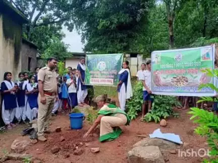 ଫୁଲବାଣୀ ସହର: କନ୍ଧମାଳ ଜିଲ୍ଲା ବିଭିନ୍ନ ବନାଞ୍ଚଳ ପକ୍ଷରୁ ୭୬ତମ ବନମହୋତ୍ସବ ପାଳିତ ହୋଇଯାଇଛି