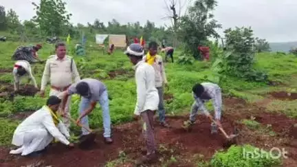 भीमपुर: पश्चिम वन मंडल व मध्य प्रदेश जन अभियान परिषद द्वारा पौधारोपण किया गया