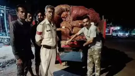 छतरपुर: मातगुवां पुलिस ने वाहनों और सड़क पर बैठी मवेशियों के सींगों पर रेडियम पट्टी लगाई