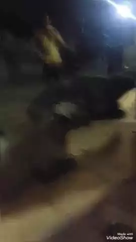 मिर्ज़ापुर: राजपुर गांव के पास ग्रामीणों ने चोरी के चार भैंस बरामद किए, मौका देख चोर भागने में हुए सफल, वीडियो सोशल मीडिया पर वायरल