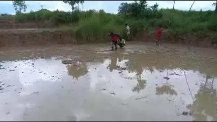 लोहरदगा: चारहू गांव में दिव्यांग किसान के बेटे खींच रहे हल, वज्रपात में बैलों की मौत, वीडियो वायरल