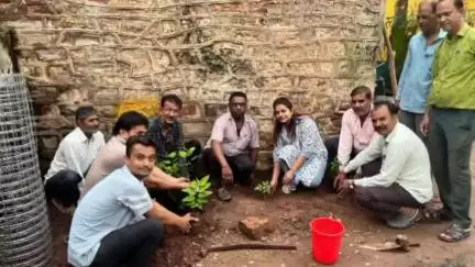 बिजौलिया: बिजौलियां में सहकारिता वर्ष 2025 के अवसर पर वृक्षारोपण अभियान