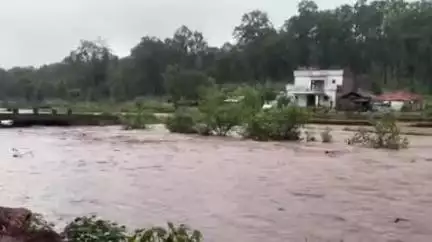 सहसपुर लोहारा: कबीरधाम जिले में 48 घंटों से हो रही झमाझम बारिश, नदी-नाले उफान पर, कई गांवों में बिजली आपूर्ति बाधित