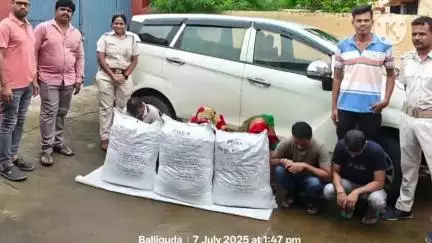 ଫୁଲବାଣୀ ସହର: ବାଲିଗୁଡା ର ଖମନଖଲ ଠାରେ 5ଜଣ ଅନ୍ତଃରାଜ୍ୟ ଗଞ୍ଜେଇବେପାରି ଙ୍କସହ 60କେଜି ଗଞ୍ଜେଇ ଜବତ କରିଛନ୍ତି ଅବକାରୀ ବିଭାଗ,