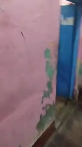 जालौन: जालौन नगर में मारपीट का वीडियो सोशल मीडिया पर वायरल, एक व्यक्ति की कमर में लगा असलहा
