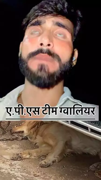 Mishra hospital ek retriever dog hai 
Aps team gwalior ne karvai Ki he or Sahi he  #apsgurjar